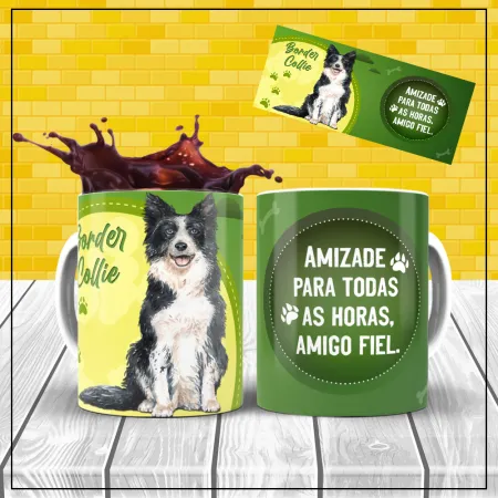 Border Collie