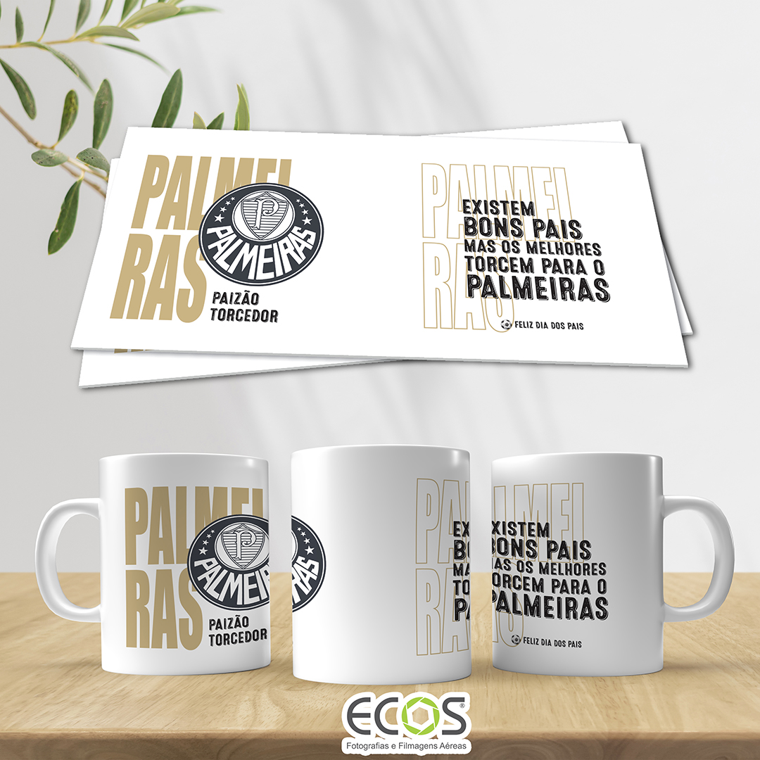 PAIS 285 - PALMEIRAS