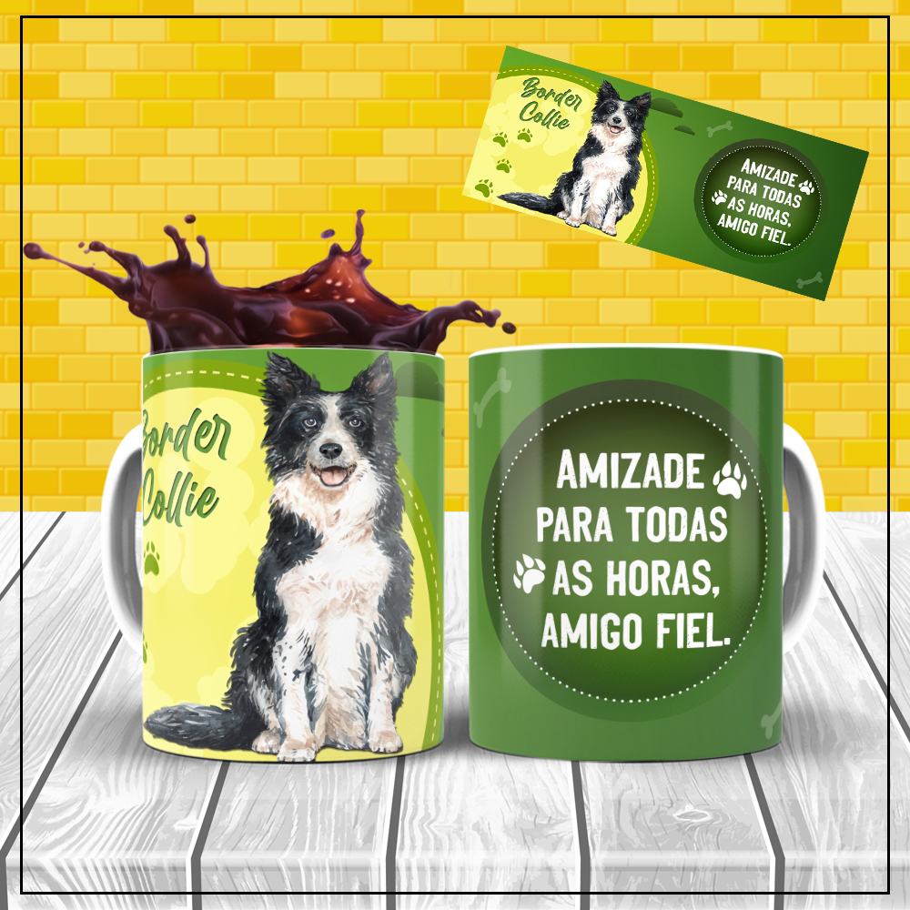 Border Collie